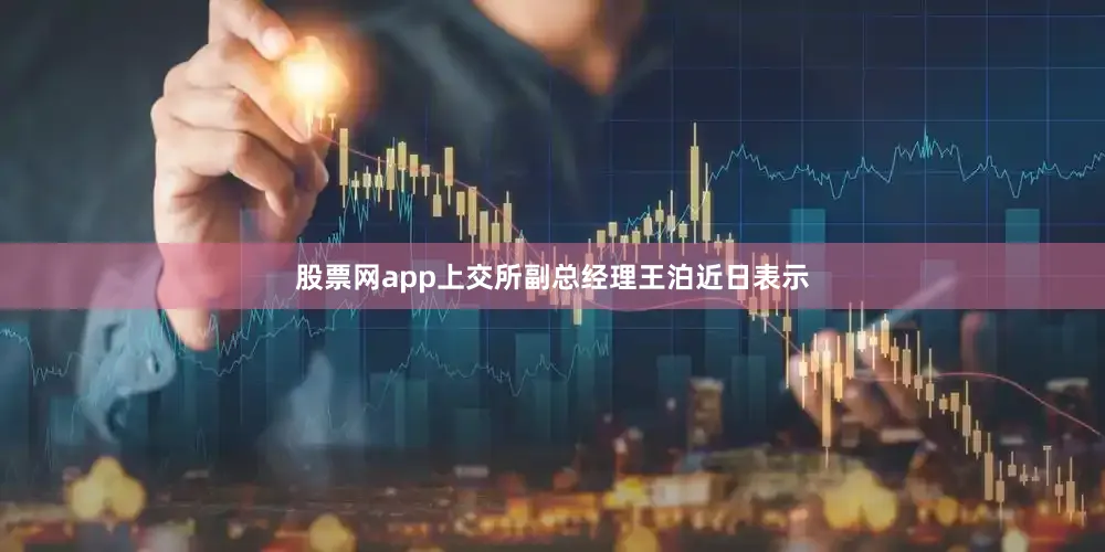 股票网app上交所副总经理王泊近日表示